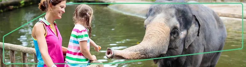 Rodinný den s eBenefity - tipy na ZOO po celé ČR 1 Zoo s s eBenefity