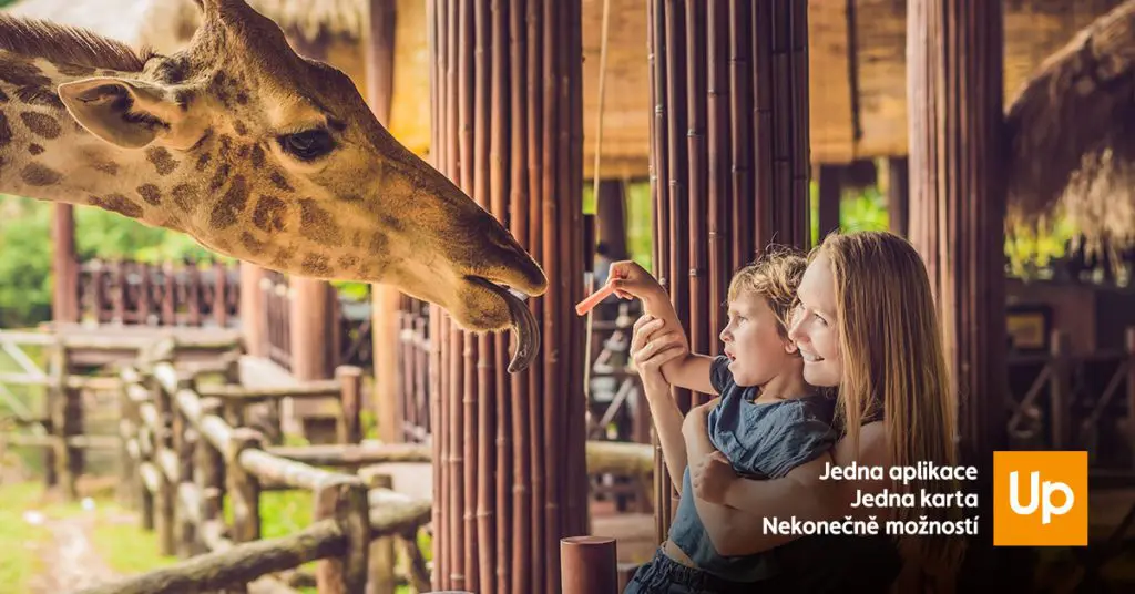 Rodinný den s eBenefity - tipy na ZOO po celé ČR 18 Rodinný den s eBenefity – tipy na ZOO po celé ČR