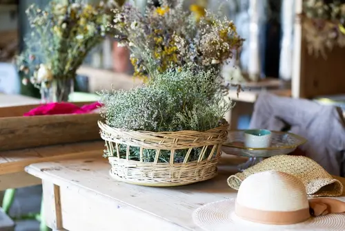 Den rozvoje a vzdělávání dospělých s eBenefity: Investice, která se vám vrátí 4 shutterstock 2655677833