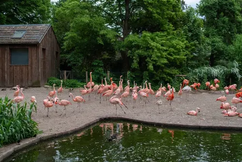 Jarní výlet do Zoo: Zážitek pro celou rodinu s eBenefity 3 Zoo Protivin shutterstock 2625685211
