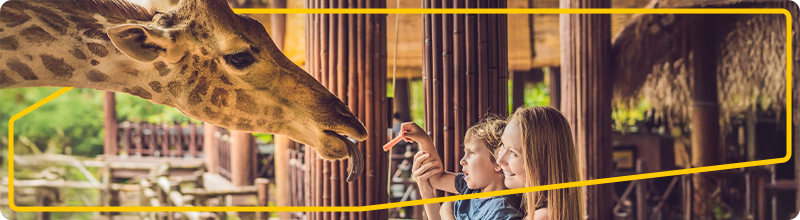 Jarní výlet do ZOO: Zážitek pro celou rodinu s eBenefity 1 Výlet do Zoo a eBenefity