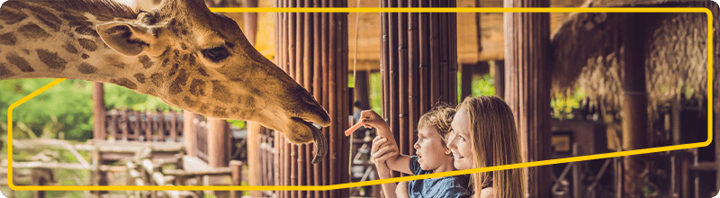 Výlet do Zoo a eBenefity